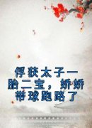 [沈青沈郑]俘获太子一胎二宝，娇娇带球跑路了小说全文章节目录免费试读