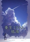 重生1993，暗海全文在线阅读 安小海刘俊全本无弹窗