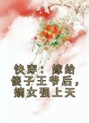 凌月幽墨星玄快穿：嫁给傻子王爷后，嫡女强上天小说全本免费试读