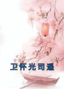 《卫怀光司遥》小说大结局在线阅读 卫怀光司遥小说全文