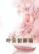 《叶云初薛瑾》小说章节目录在线试读 叶云初薛瑾小说全文