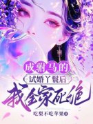 《成驸马的试婚丫鬟后，我全家死绝》阿如李瑞璞章节列表精彩阅读