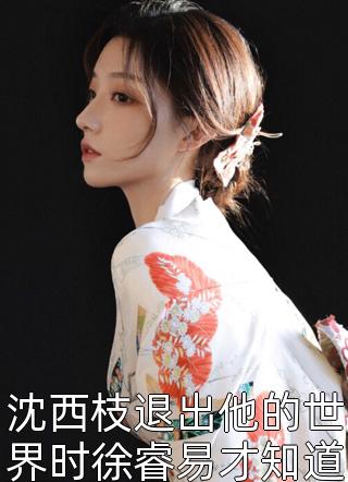 二婚女总裁后，前妻哭着求复合