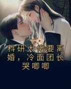 沈慕乔陆淮安科研大佬要离婚，冷面团长哭唧唧精彩内容在线阅读