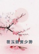 《君玉妍贺少辞》完整版在线阅读（主角君玉妍贺少辞）