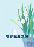 《陆亦婉周京泽》小说全文免费试读 《陆亦婉周京泽》最新章节列表