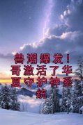 《秦枫夏无神》大结局精彩阅读 《秦枫夏无神》最新章节列表