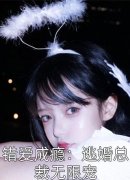 柔心语慕容雪医妃妙手回春，王爷被迷倒了全本在线阅读_医妃妙手回春，王爷