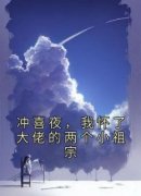 《冲喜夜，我怀了大佬的两个小祖宗》小说章节列表在线阅读 蓝桥聂言小说阅