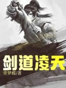 新书《剑道凌天》小说全集阅读 萧风柳无相小说免费完整版全文