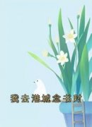 《我去港城念书时》小说章节列表在线试读 连雾陆西野小说全文