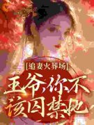 《追妻火葬场：王爷，你不该囚禁她》已完结版全文章节阅读 关绾绾萧凛之小