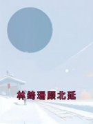 《林绮珊顾北延》小说全文免费试读 《林绮珊顾北延》最新章节列表