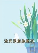 精品《流光浮影掠繁花》小说在线阅读 戚迟冰陆崇远小说全集无删减全文