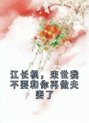 江长枫，来世我不要和你再做夫妻了小说试读_江长枫池清月小说全文章节列表