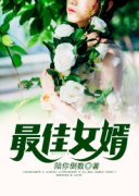 《最佳女婿》全文免费章节在线试读 林羽江颜小说