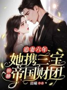 《追妻六年：她携三宝掀翻帝国财团》完结版在线阅读 《追妻六年：她携三宝