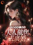 《直播算命：时总，夫人催您去离婚》小说全文精彩阅读 沈初瑾时熠小说全文