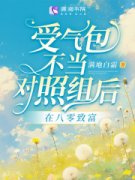 《潘叶林梅》小说章节精彩阅读 受气包不当对照组后，在八零致富小说全文