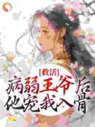 好书推荐《王爷快醒醒：冲喜王妃替你造反了》沈念褚墨渊全文免费试读