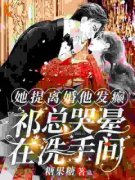 《阮山柳祁夜南》完整版在线阅读（主角她提离婚他发癫，祁总哭晕在洗手间）