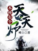 本座有个吞天炉(林萧林柔)全文完结在线阅读完整版