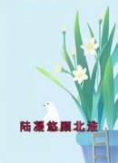 《陆凝悠顾北淮》小说在线阅读 《陆凝悠顾北淮》最新章节目录