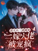 《离婚后，我弃渣男转身嫁禁欲大佬》完结版在线阅读 《离婚后，我弃渣男转