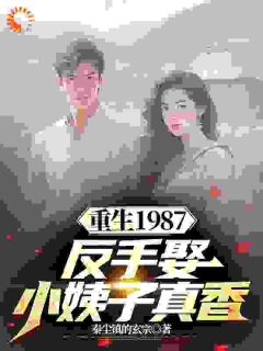 重生1987，反手娶小姨子真香