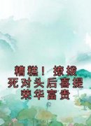 《糟糕！撩拨死对头后喜提荣华富贵》小说完整版在线阅读（主角沈梨舟宋京祈