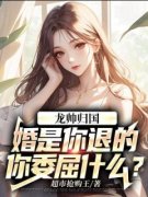 好书推荐《龙帅归国：婚是你退的，你委屈什么？》苏护萧红叶全文在线阅读