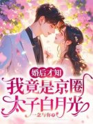 《褚萤盛淮瑾》婚后才知，我竟是京圈太子白月光完结版在线阅读