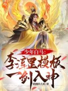 《叶凡李淳罡》小说章节列表在线阅读 少年白马：李淳罡模板，一剑入神小说