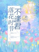 《沈觅云林云深》落花时节不逢君小说最新章节目录及全文完整版