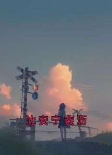 沈安宁裴沥