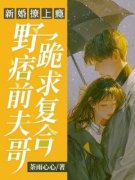 《新婚撩上瘾，野痞前夫哥跪求复合》完结版精彩试读 《新婚撩上瘾，野痞前